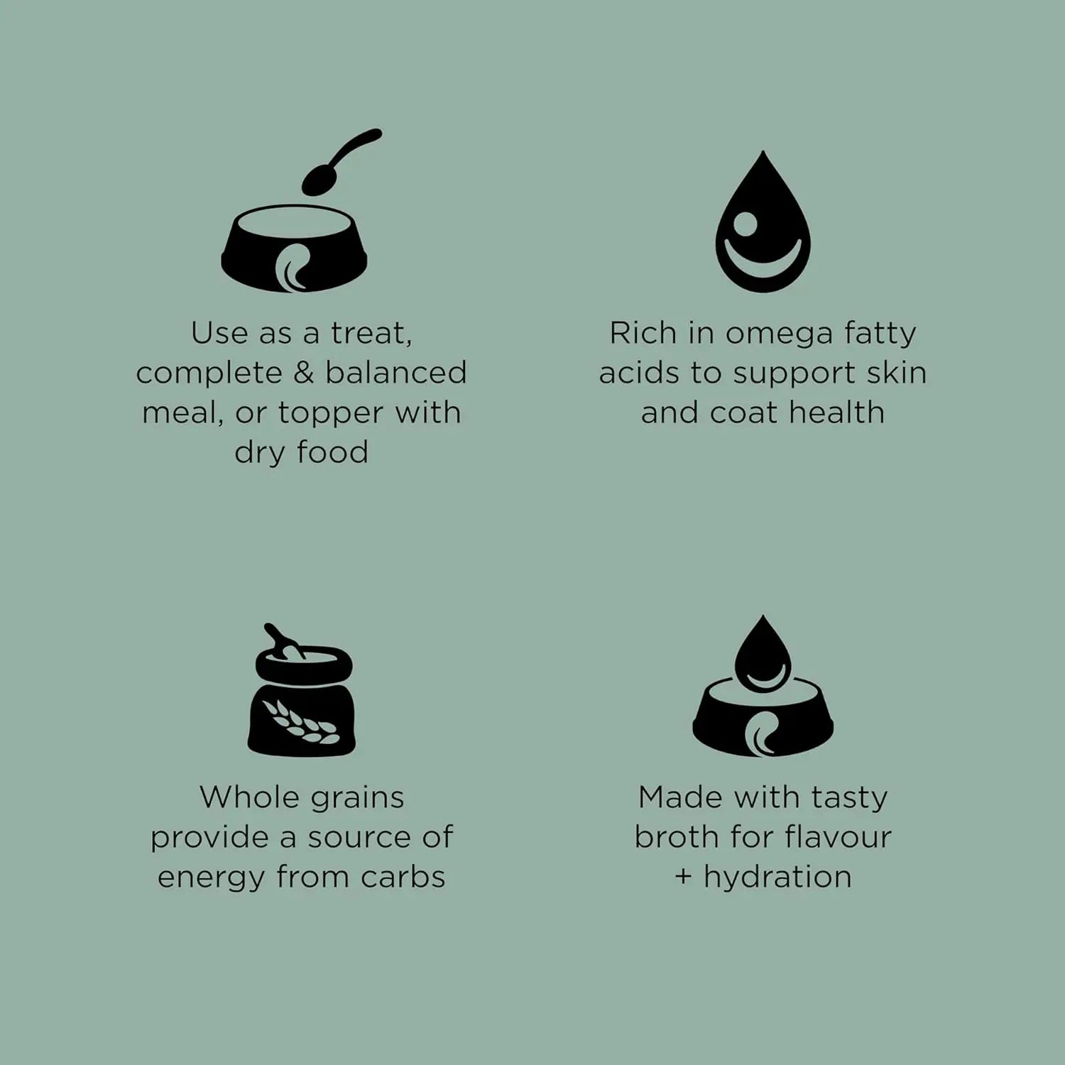 Four icons and text highlight Petcurean Go! Solutions Skin + Coat Care Turkey & Salmon Pate Dog Food’s key benefits: skin & coat care, balanced nutrition from turkey & salmon, whole grains, and hydrating broth. Pack of 12 (12.5 oz cans).