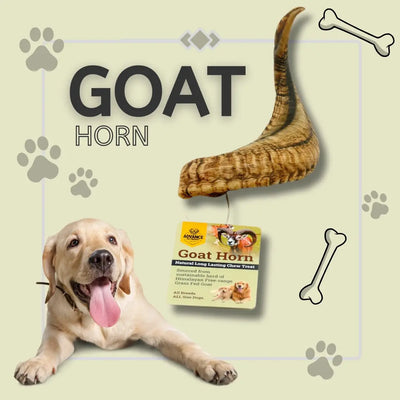 A playful puppy lies beside Advance Pet Products’ Goat Horns Natural Chew Packed with Health Benefits, a mineral-rich treat. Bone and paw prints decorate the background, and a tag highlights this natural dog chew. Text reads “Goat Horn.”.