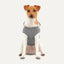 Goo-eez Kangaroo Fleece Dog Hoodie Goo-Eez