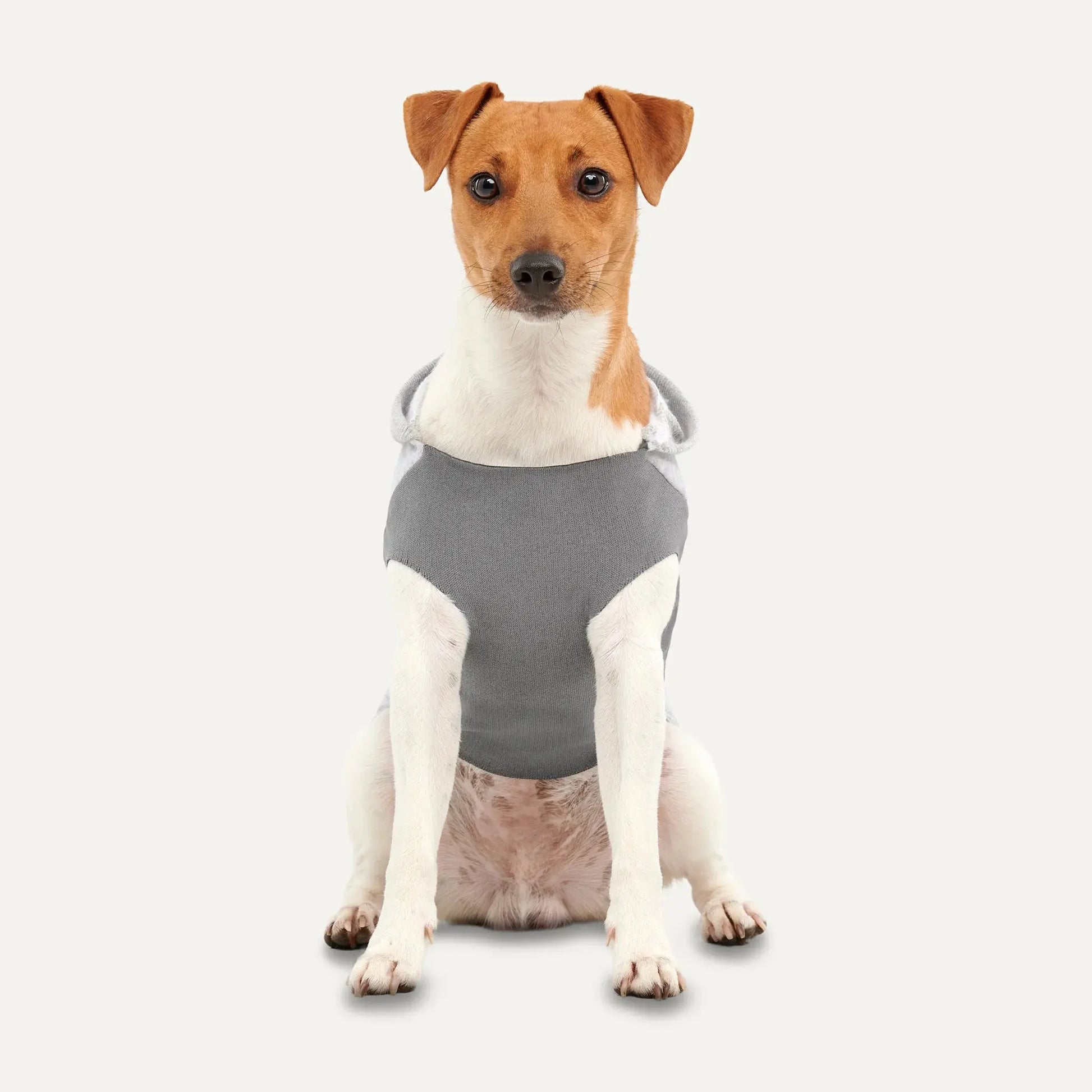 Goo-eez Kangaroo Fleece Dog Hoodie Goo-Eez