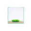 Grass stone – 3cm Antcube