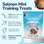 Healthybud Salmon Mini Training Treats for Dogs 6.5 oz Healthybud