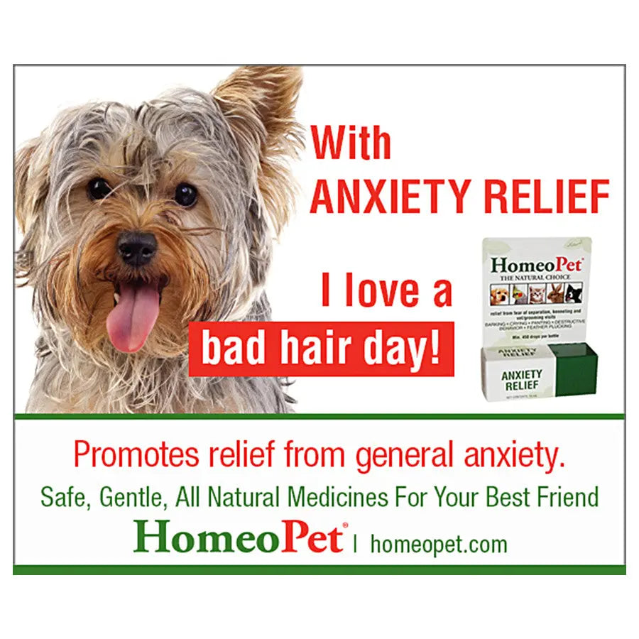 Homeopet® Anxiety Relief for Pets 15 Ml Homeopet®