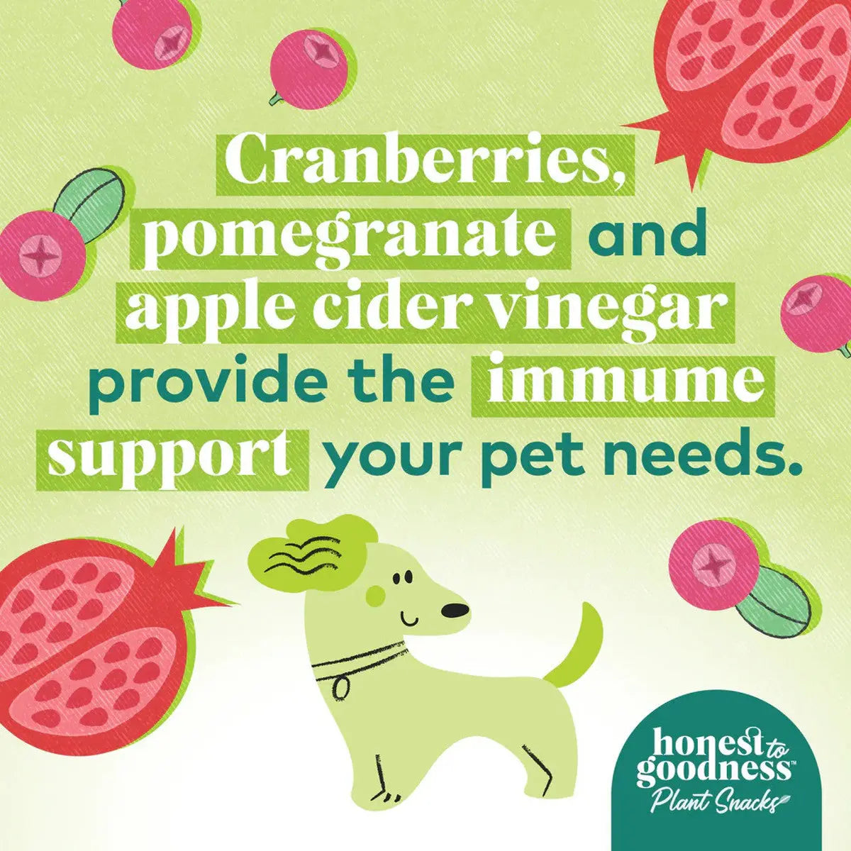 Honest To Goodness™ Plant Snacks Buddy Boost Cranberry & Pomegranate Recipe Dog Treats 8oz Honest To Goodness