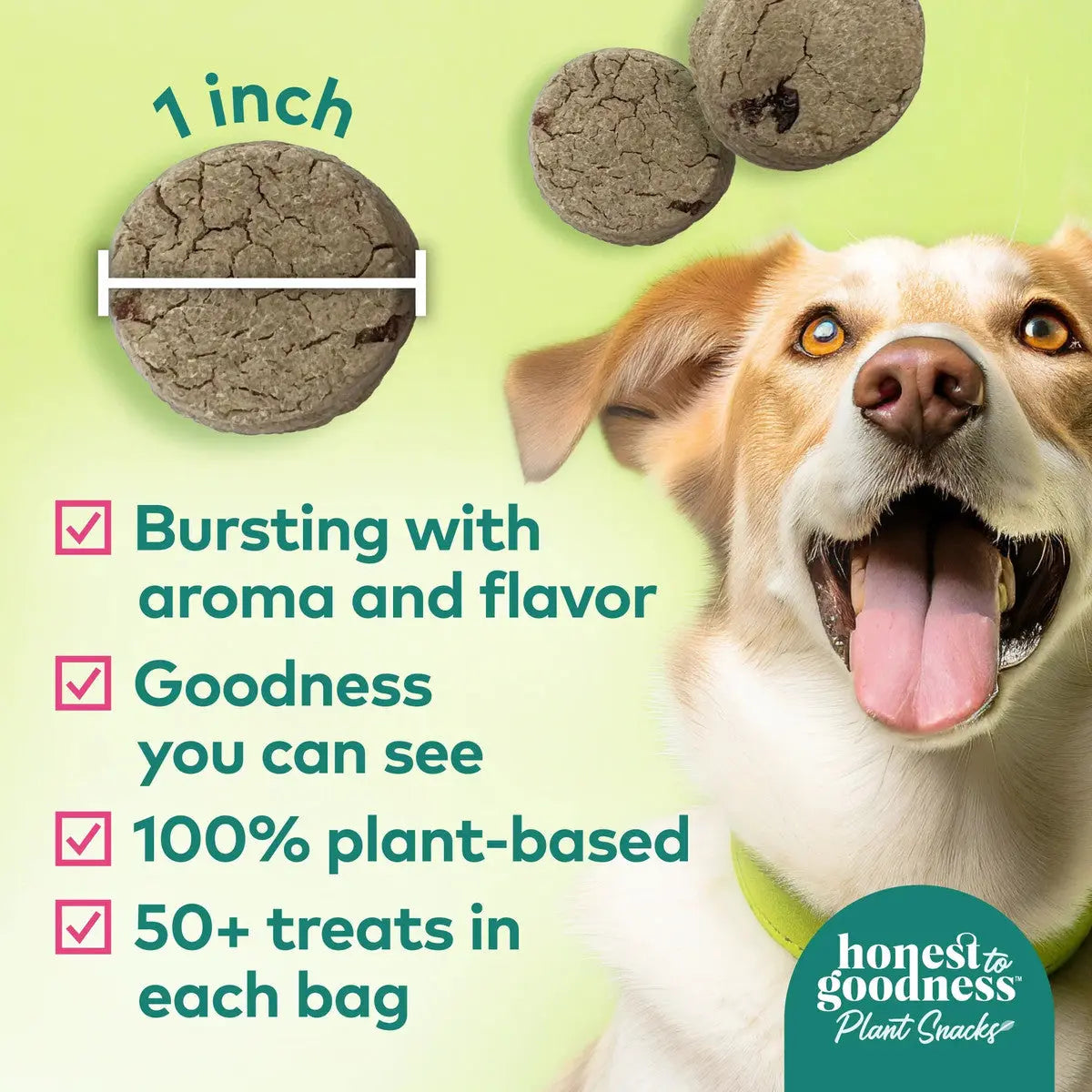 Honest To Goodness™ Plant Snacks Buddy Boost Cranberry & Pomegranate Recipe Dog Treats 8oz Honest To Goodness