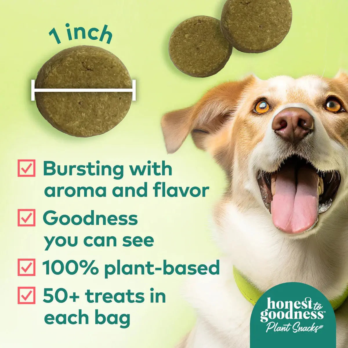 Honest To Goodness™ Plant Snacks Happy Feet Apple & Cinnamon Recipe Dog Treats 8oz Honest To Goodness