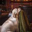 A yellow Labrador rests its head on the HuggleHounds Scout Blankie Double-Sided Plush Dog Blanket, draped over a brown leather chair in a cozy, warmly lit room.