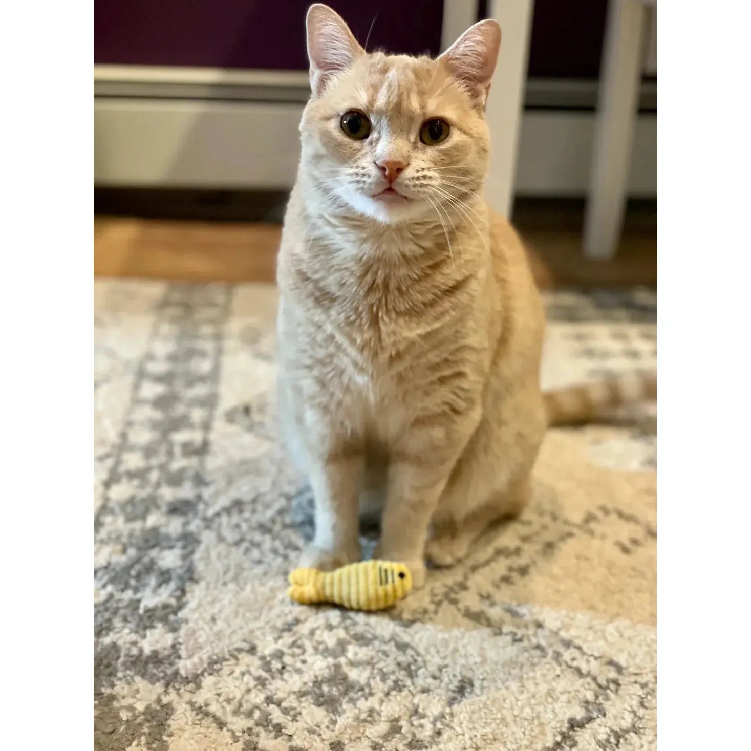 HuggleKats Multi-Textured Realistic Prey Toys for Cats HuggleHounds