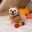 Hugsmart Pet Autumn Tailz Apple Basket Interactive Dog Toy Hugsmart Pet