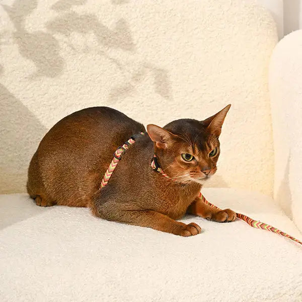 Hugsmart Pet Cat Harness & Leash Set Hugsmart Pet