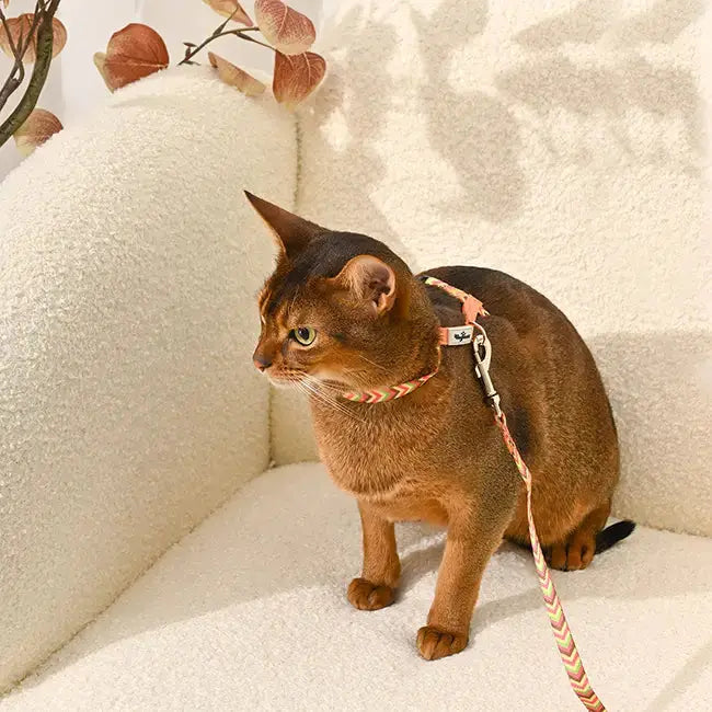 Hugsmart Pet Cat Harness & Leash Set Hugsmart Pet