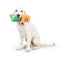 Huxley & Kent Seek 'n Treat Prickly Pawt Dog Toy Huxley & Kent