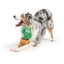 Huxley & Kent Seek 'n Treat Prickly Pawt Dog Toy Huxley & Kent