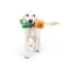 Huxley & Kent Seek 'n Treat Prickly Pawt Dog Toy Huxley & Kent