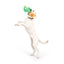 Huxley & Kent Seek 'n Treat Prickly Pawt Dog Toy Huxley & Kent