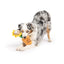 Huxley & Kent Seek 'n Treat Sunflower Pawt Dog Toy Huxley & Kent