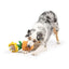 Huxley & Kent Seek 'n Treat Sunflower Pawt Dog Toy Huxley & Kent