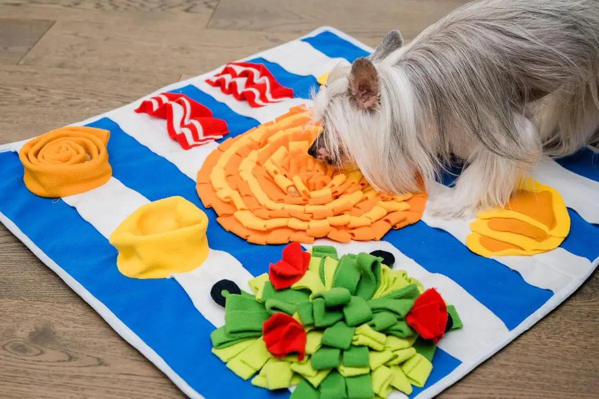 Injoya Breakfast Snuffle Mat for Dogs Injoya