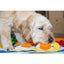 Injoya Breakfast Snuffle Mat for Dogs Injoya