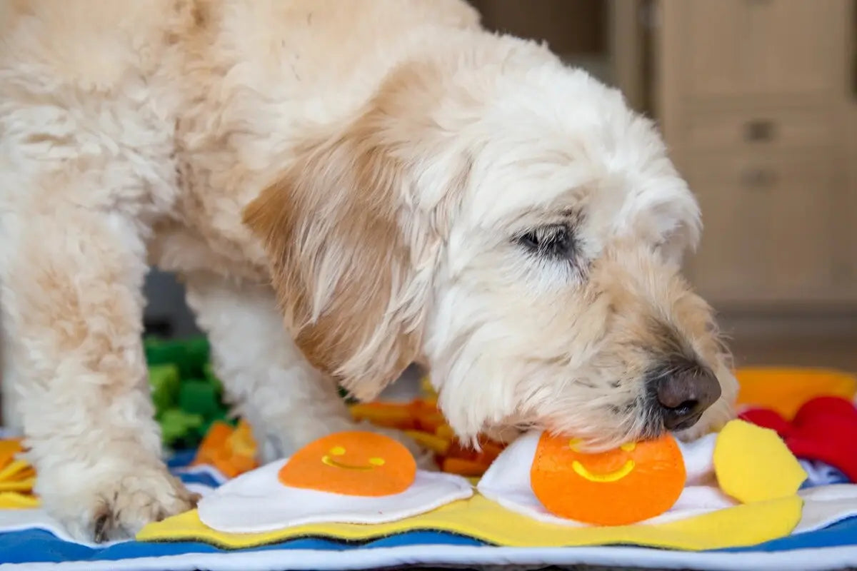 Injoya Breakfast Snuffle Mat for Dogs Injoya