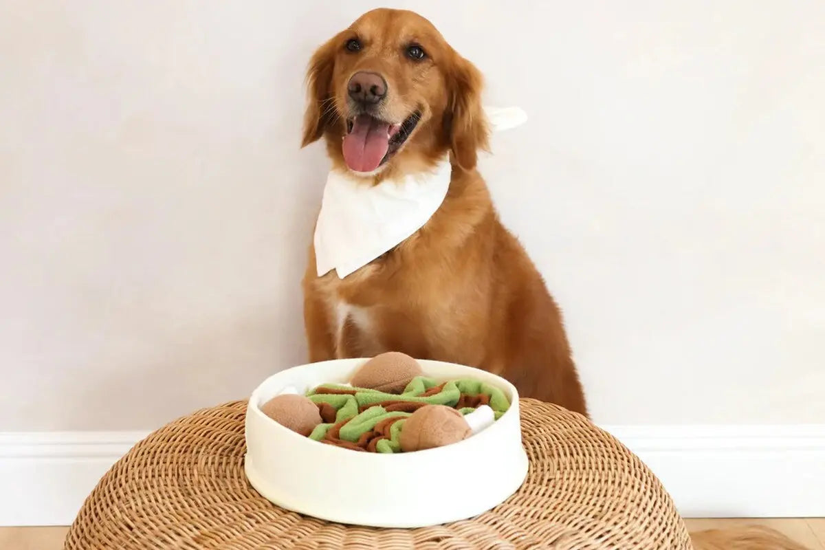 Injoya Chicken n’ Gravy Snuffle Bowl Injoya