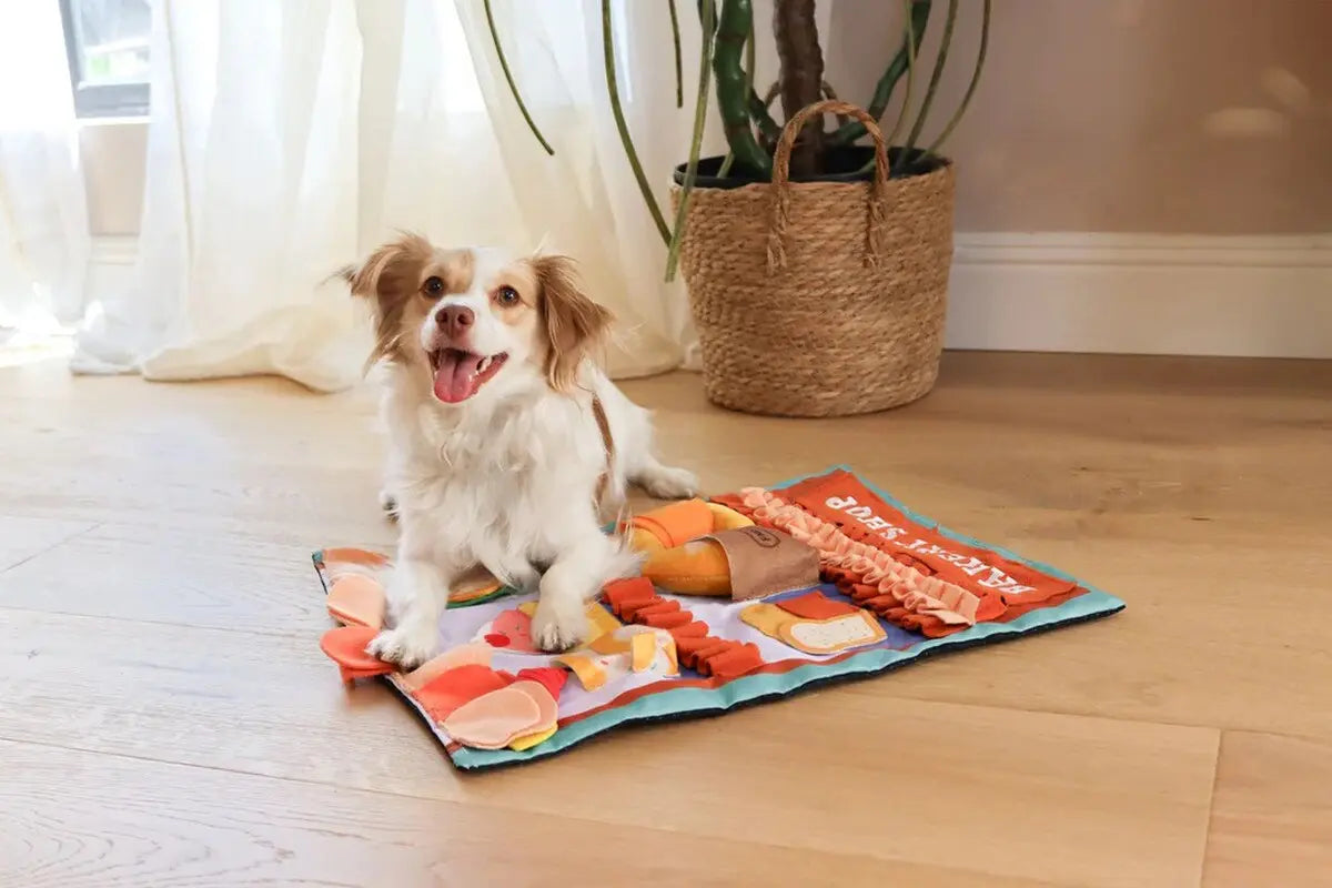 Injoya Pastry Shoppe Snuffle Mat for Dogs Injoya