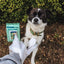 Injoya Pet Glove Wipes Unscented Injoya