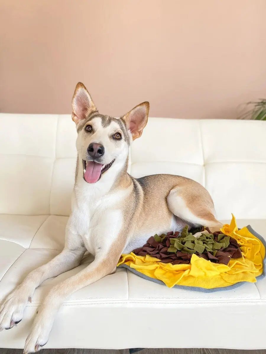 Injoya Sunflower Best Snuffle Mat for Dogs Injoya