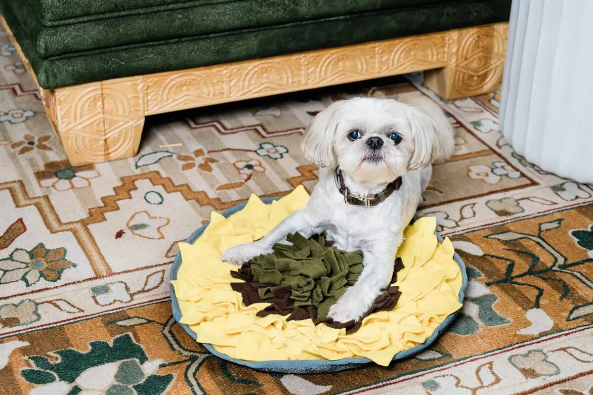 Injoya Sunflower Best Snuffle Mat for Dogs Injoya