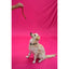 Jones Natural Chews Turkey Windees – Tasty, Digestible Chews for Dogs Jones Natural Chews