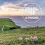 Sheep graze on a green hillside by the sea at sunset, with Grass-Fed & Finished in a white circle—perfect inspiration for K9 Natural Hoki & Beef Grain-Free Freeze-Dried Dog Food Topper made from premium ingredients.