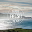 Coastal landscape with rolling hills, blue ocean, and cloudy sky. Large white text in a translucent circle reads: MADE FRESH IN NZ—perfect for featuring K9 Natural Hoki & Beef Grain-Free Freeze-Dried Dog Food Topper.