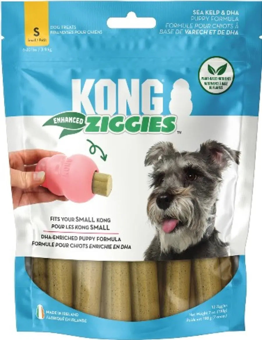 KONG Ziggies Enhanced Plant-Based Puppy Treats Kong