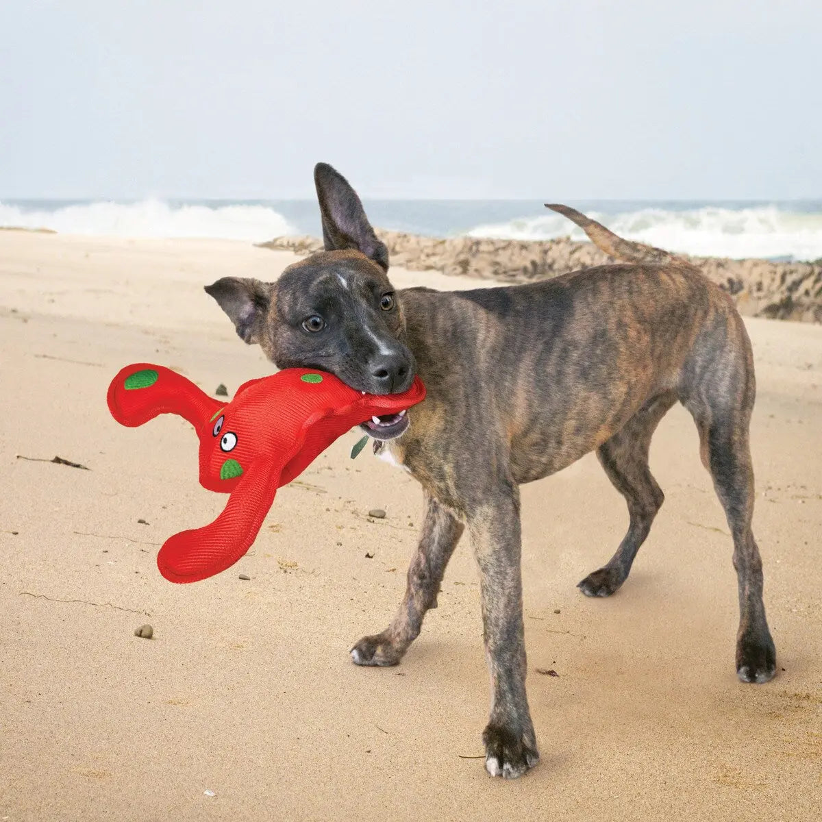 KONG® Belly Flops Lobster Dog Enrichment Toy Kong