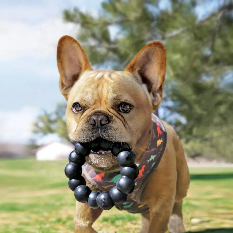 KONG® Extreme Ring Dog Chew Toy Kong