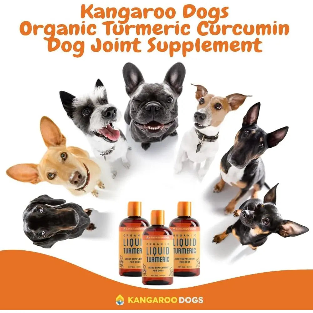 Kangaroo Dogs Organic Turmeric Curcumin Dog Joint Supplement 8oz Kangaroo Dogs