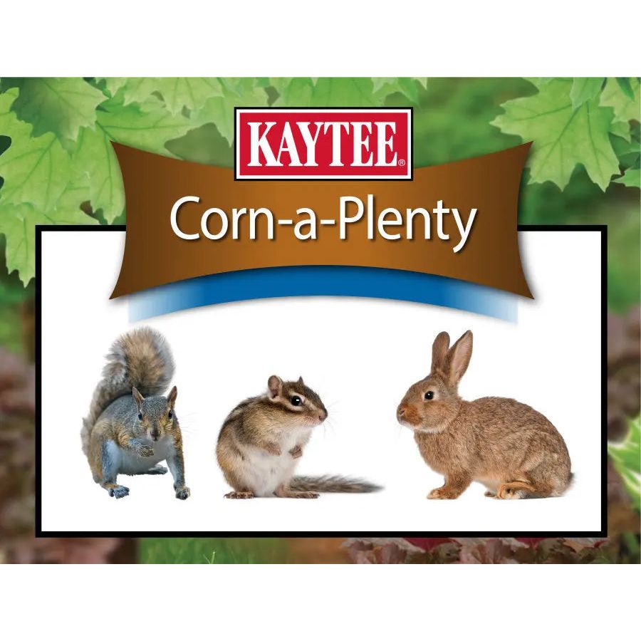 Kaytee Corn a Plenty Seed Cake 2.5 lb Kaytee®