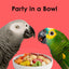 Kaytee Fiesta Fiesta Parrot Food Kaytee®