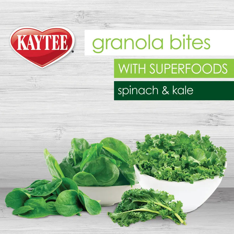 Kaytee Granola Bites Spinach and Kale Bird Treats Kaytee