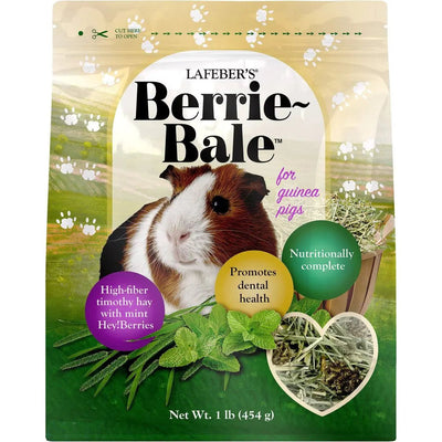 Lafeber Company Berrie-Bale for Guinea Pigs Mint 1 lb Lafeber's®