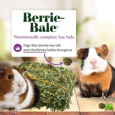 Lafeber Company Berrie-Bale for Guinea Pigs Mint 1 lb Lafeber's®