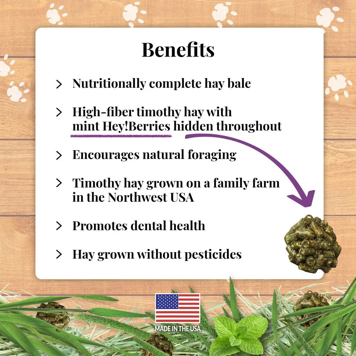 Lafeber Company Berrie-Bale for Guinea Pigs Mint 1 lb Lafeber's®