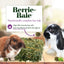 Lafeber Company Berrie-Bale for Rabbits Mint 1 lb Lafeber's®