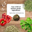 Lafeber Company Hey! Berries Rabbit Food Bell Pepper & Cilantro Lafeber's®