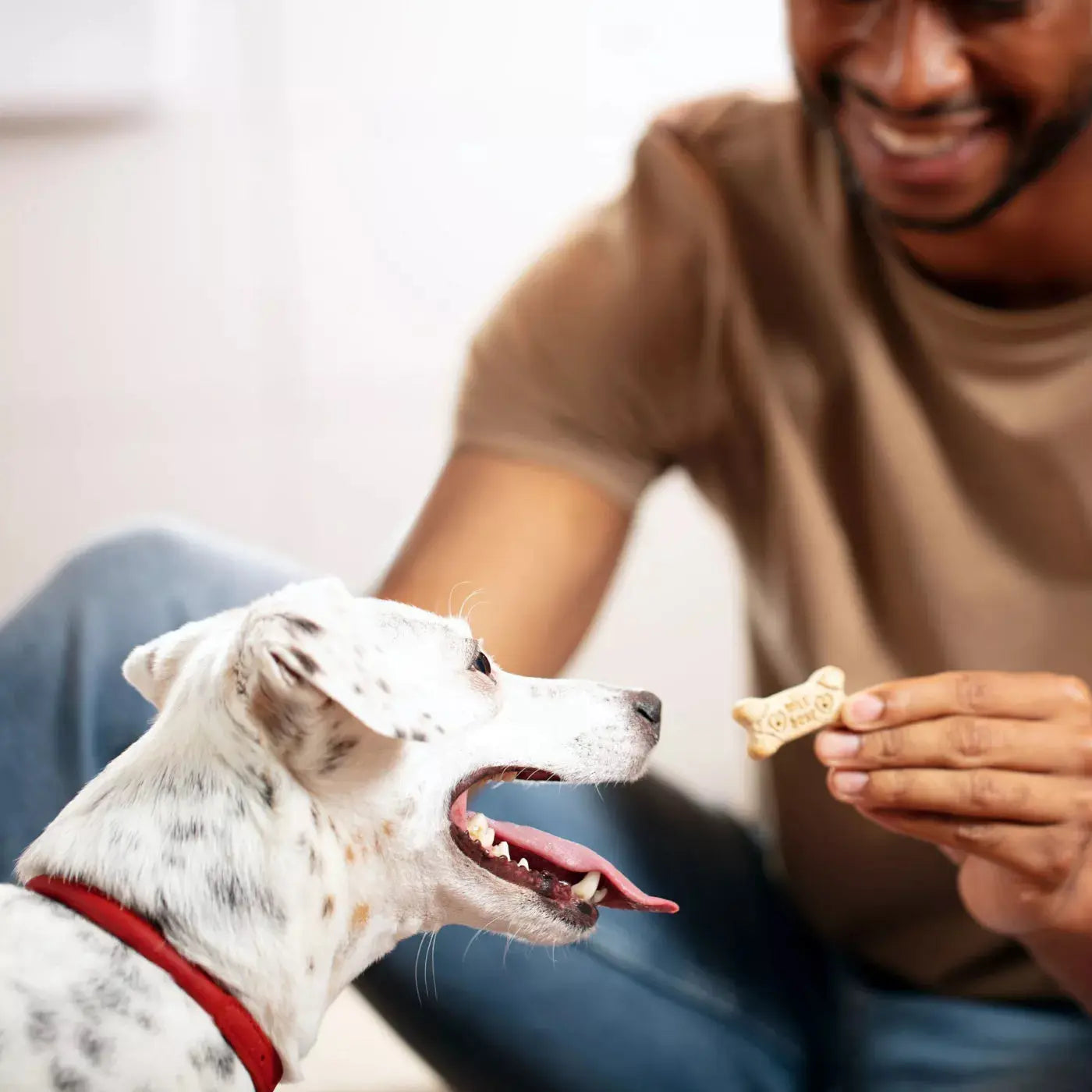 Milk-Bone Original Dog Biscuits 1ea/Large, 10 lb Milk-Bone