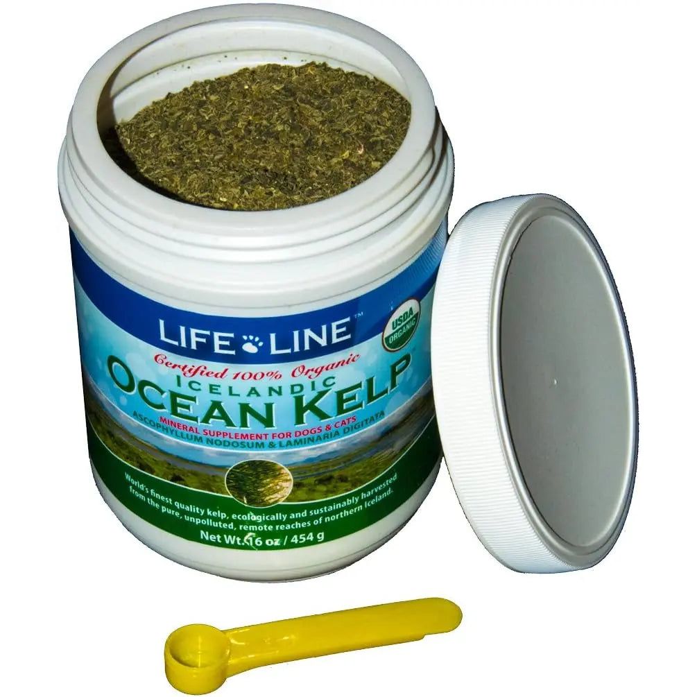 Life Line Pet Nutrition Organic Ocean Kelp Supplement for Skin & Coat, Digestion in Dogs & Cats Life Line Pet