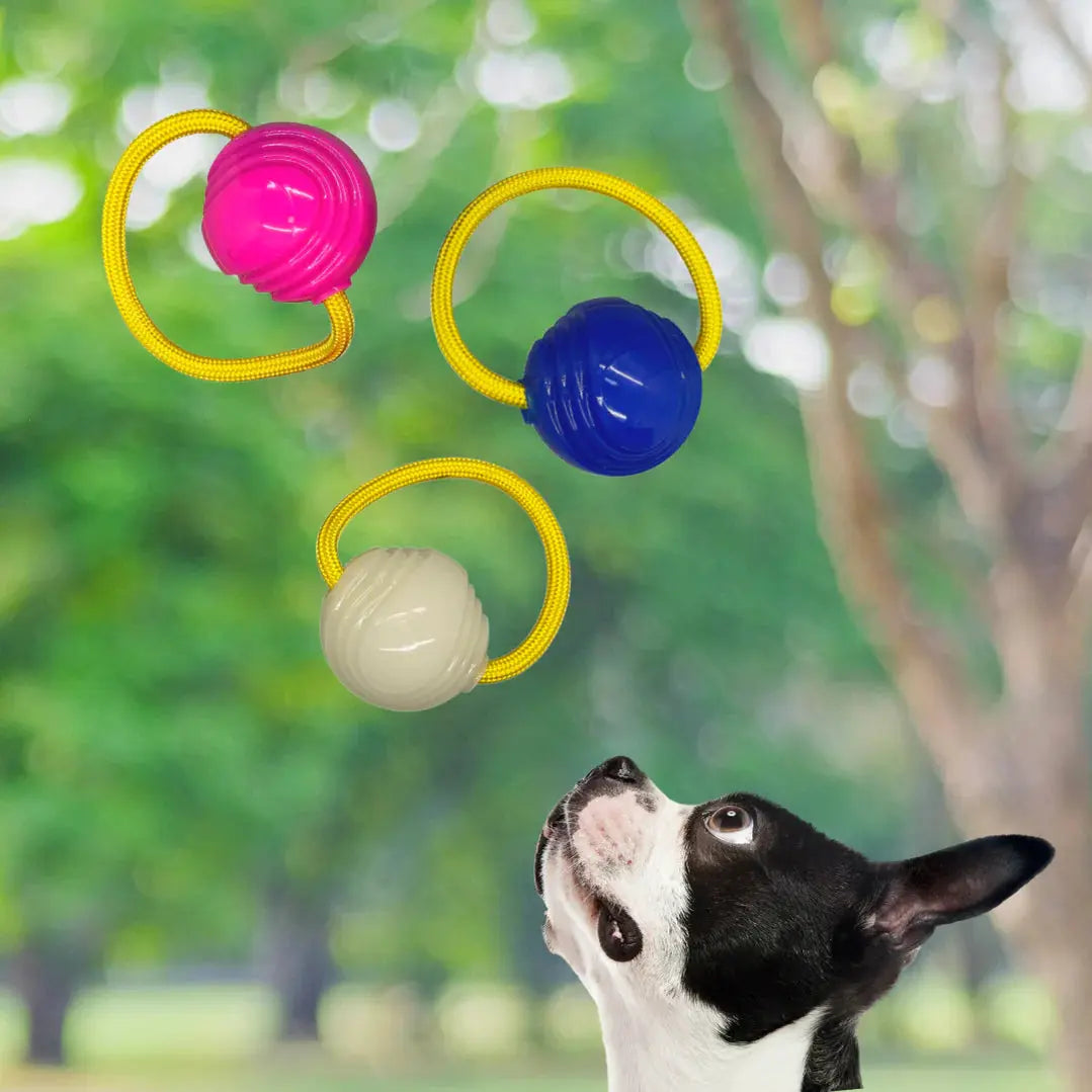 Loop & Launch Single Launchable Small Ball Dog Toy Launcher 2.5" Loop & Launch