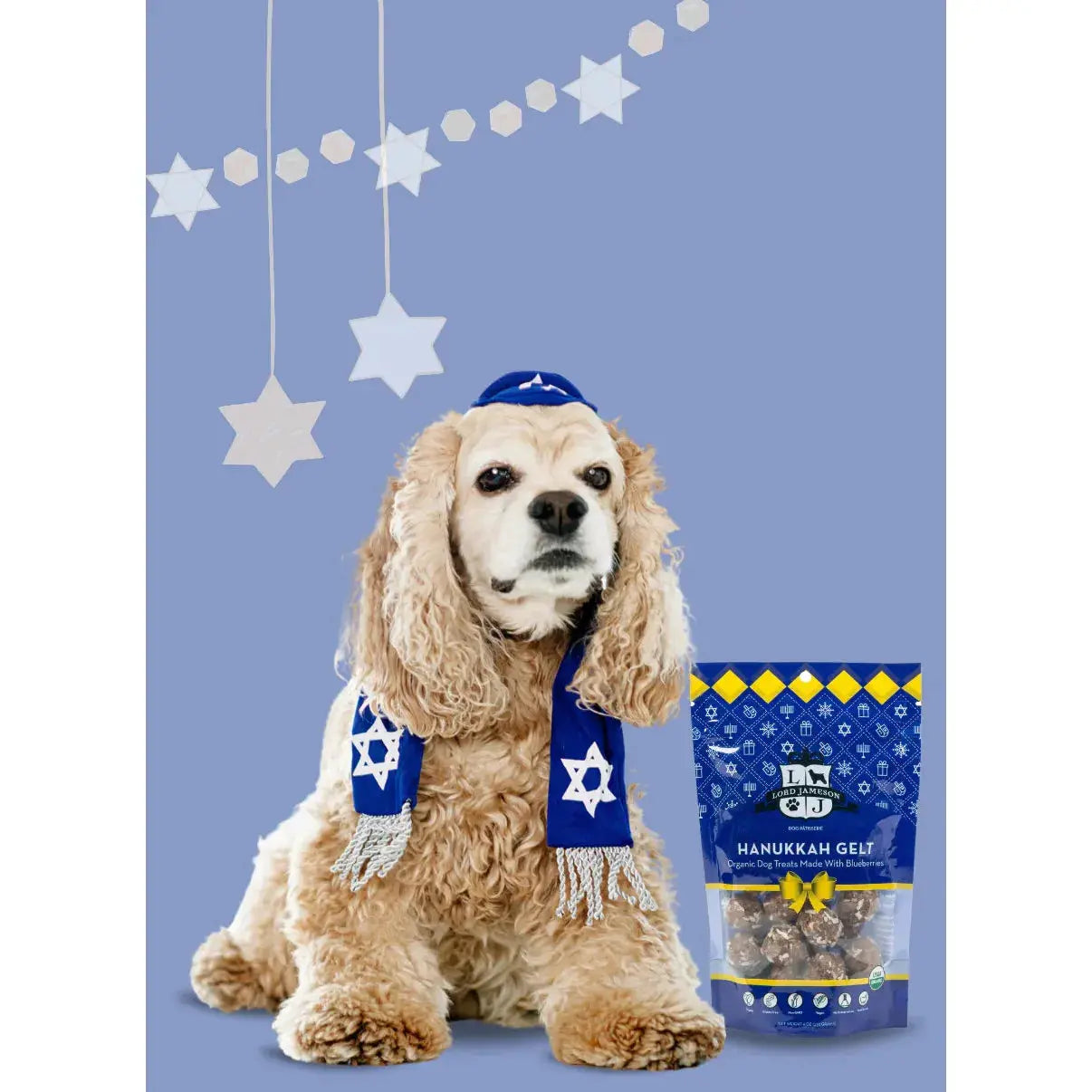 Lord Jameson Hanukkah Gelt Organic Dog Treats 6oz Lord Jameson