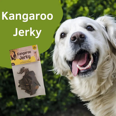 A happy golden retriever sits beside a pack of Advance Pet Products Low-Fat Kangaroo Jerky for Dogs with Food Sensitivities. Kangaroo Jerky is in bold on a green background, with shrubs in the distance.