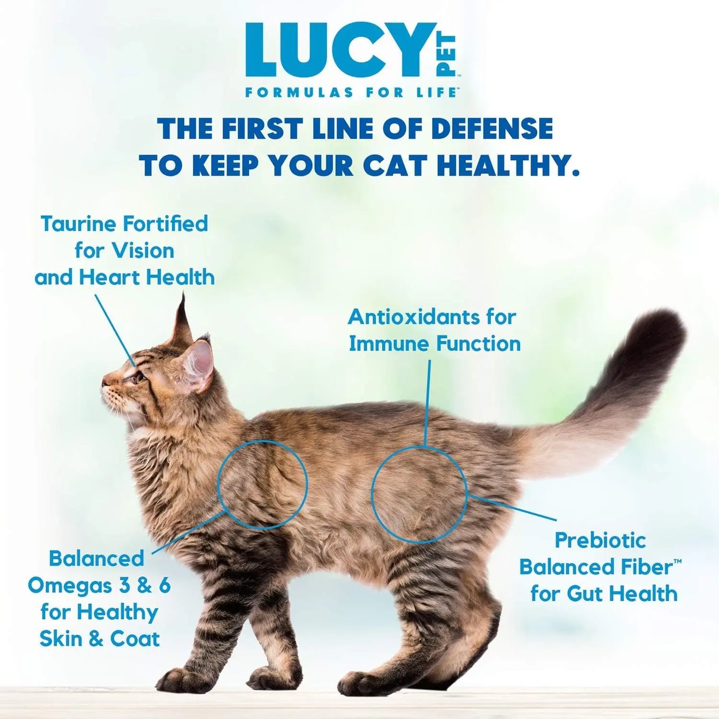 Lucy Pet Products Chicken, Brown Rice & Pumpkin Limited Ingredient Diet Cat Food Lucy Pet Products